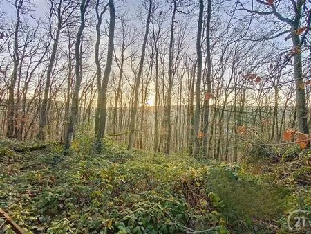 terrain à vendre à allée des coquelicots 78 laneffe (vbe53379)