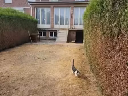 location maison 5 pièces 95 m² à douai (59500)  800 €