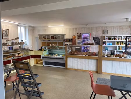 vente locaux professionnels 10 pièces 257 m² à chatillon-sur-indre (36700)  145 000 €