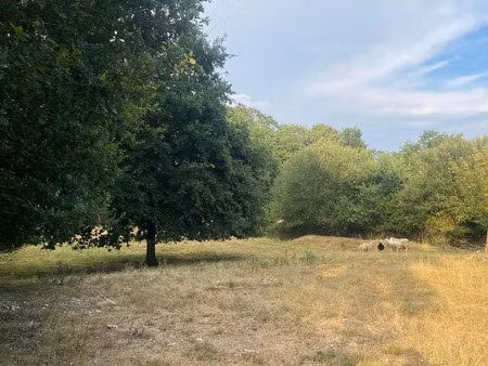 vente terrain 8610 m² guipry-messac (35480)