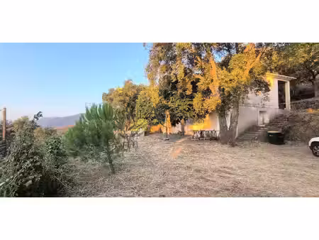 maison avec jardin et terrasse bastia (2b)