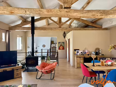 maison en pierre  5 chambres - appartement - local commercial - piscine - jardin -...