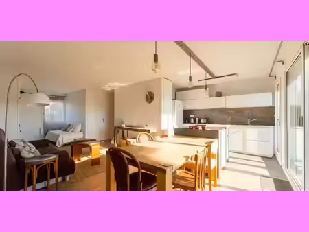 appartement avec terrasse lanton (33)