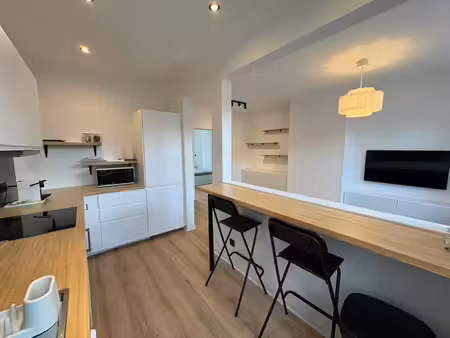 appartement 1 chambre entièrement meublé
