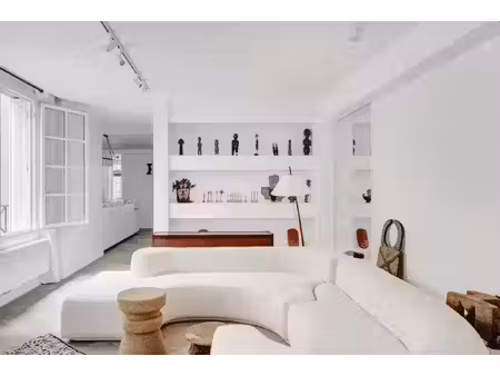appartement de luxe à vendre dans le quartier île saint louis