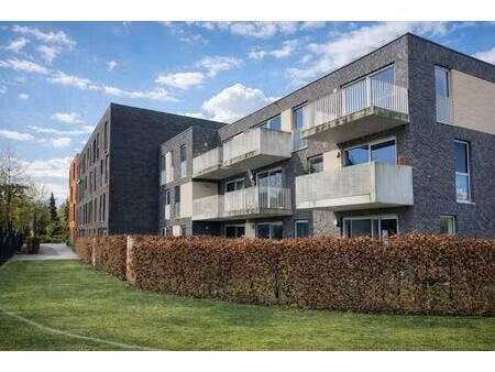 appartement te huur in geel met 1 slaapkamer