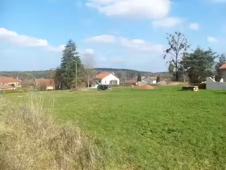 vente terrain 1450 m² à baccarat (54120)  28 600 €