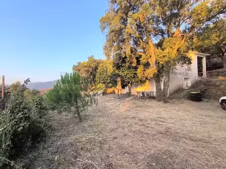 vente maison 4 pièces 154.51 m² à bastia (20200)  988 000 €