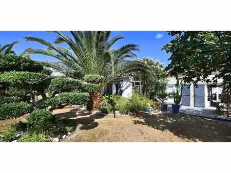 maison avec terrasse ars-en-ré (17)