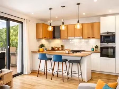 vente appartement 2 pièces 46 m² à massy (91300)  220 000 €