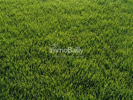 terrain constructible viabilisé 457 m2 à léognan  proche vil