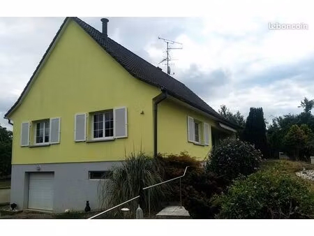 maison avec jardin