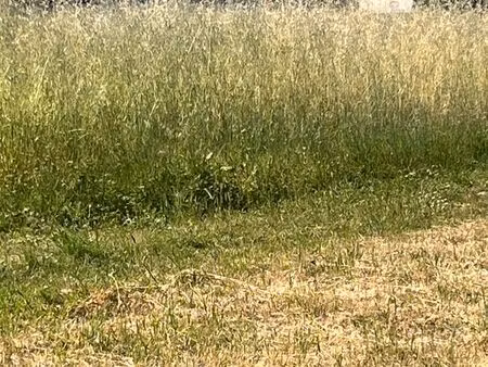 terrain à louer à l année