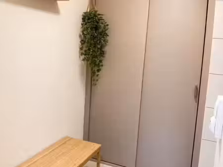appartement 1 pièce 33 m²