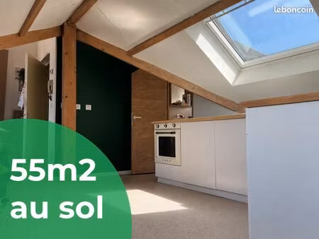 t1bis meublé 55m2 au sol