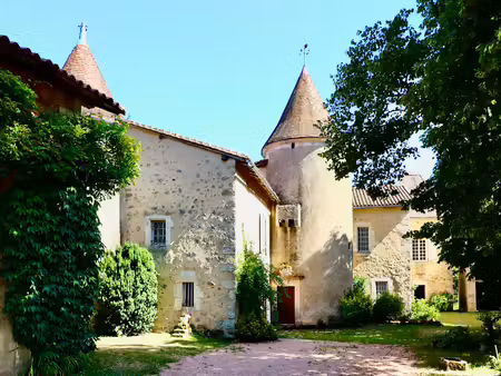 chateau à vendre à moulins-sur-tardoire (16220) - charente