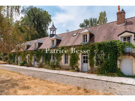 vente maison 6 pièces 300 m² à cosne-cours-sur-loire (58200)  379 000 €