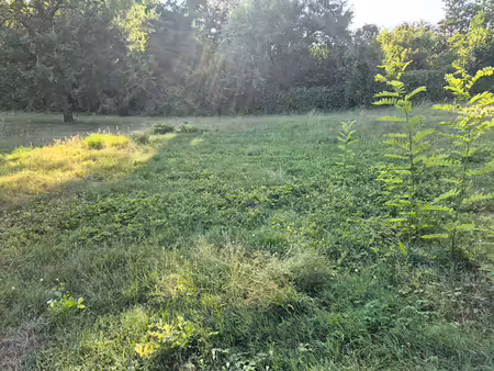 terrain bonzac 1109 m2