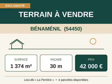 vente terrain 1374 m² bénaménil (54450)