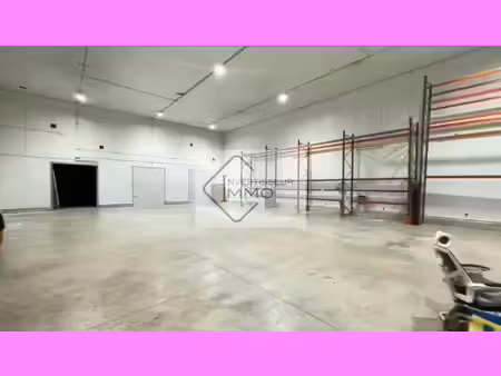 vente entrepôt meaux 77100 1963m²