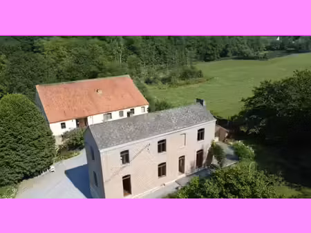 maison 11 chambres  andenne  cadre verdoyant (45)