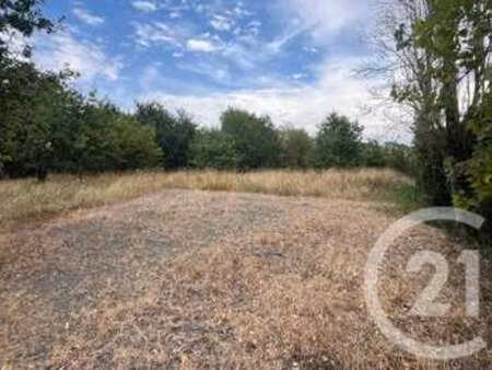 vente terrain au fenouiller (85800) : à vendre / 3083m² le fenouiller