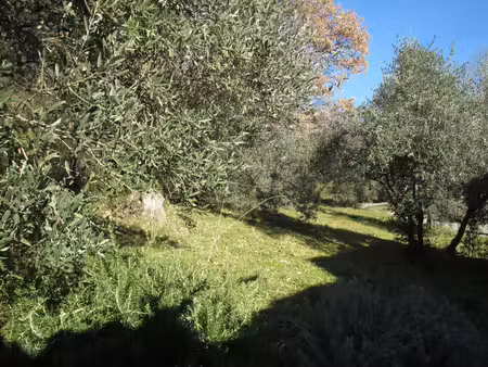 peyruis terrain constructible boisé en bordure de voie