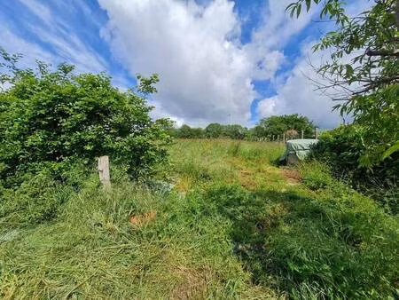 terrain constructible à vendre