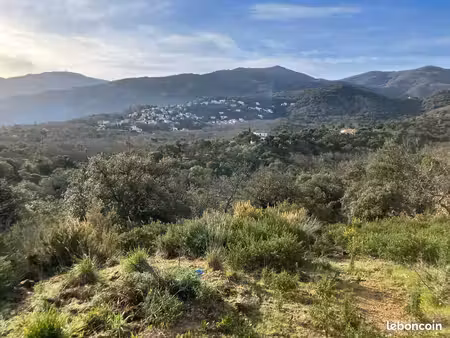 à vendre – très beau terrain d’environ 6 500 m² à villelongue-dels-monts