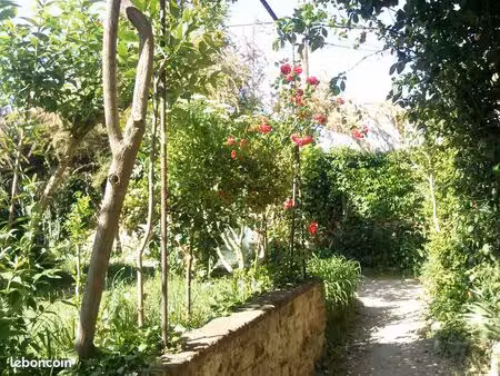 petit studio meublé. prades 66500