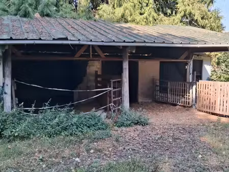 location pâture avec box