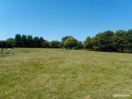 recherche petit terrain environ 50 m2 louable