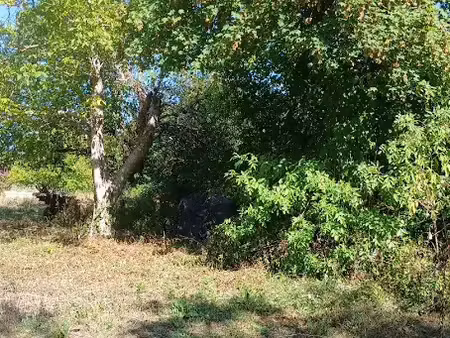 vente terrain 1000 m² à riberac (24600)  80 000 €