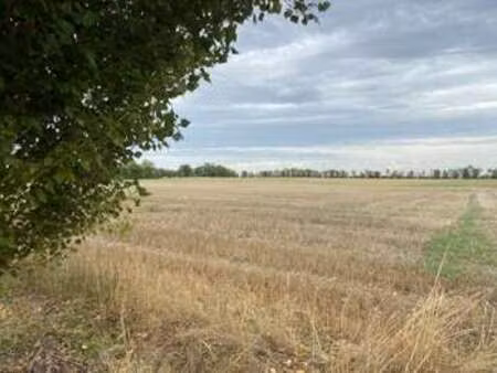 vente terrain à saint-rémy (79410) : à vendre / saint-rémy