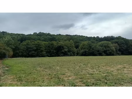 vente terrain 1161 m² à souraïde (64250)  190 000 €
