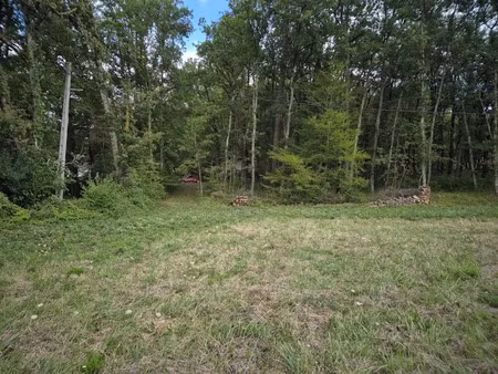 vente terrain 3026 m² à chancelade (24650)  87 000 €