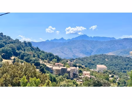 vente terrain 1459 m² à olmi-cappella (20259)  90 000 €