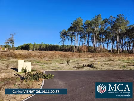 vente terrain 690 m² à pissos (40410)  94 000 €