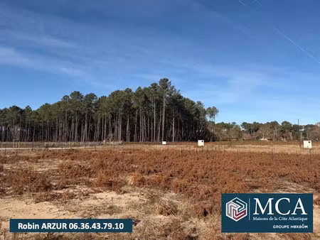 vente terrain 580 m² à vielle-saint-girons (40560)  97 000 €