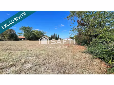 vente terrain à batir 3810 m² à nègrepelisse (82800)  100 000 €