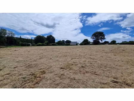 vente terrain à batir 5250 m² à saint-malo-de-beignon (56380)  116 995 €