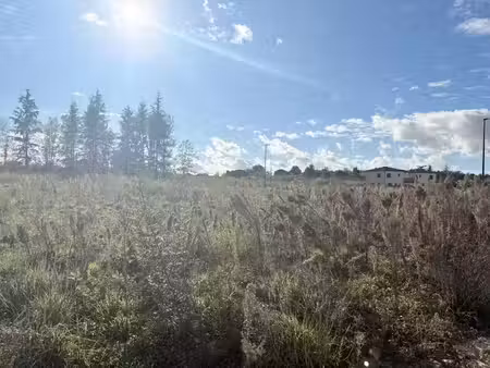 vente terrain 345 m² à labastide-saint-sernin (31620)  117 000 €
