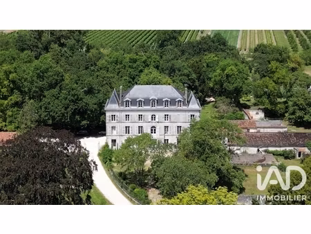 vente château 16 pièces