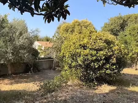 location appartement 3 pièces 85 m² à biguglia (20620)  950 €