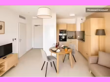 location meublée appartement 1 pièce 28 m² à avignon (84000)  1 190 €