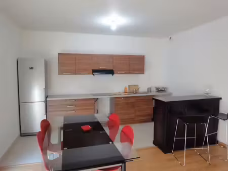 location appartement 2 pièces 57.5 m² à lyon 2ème (69002)  1 200 €