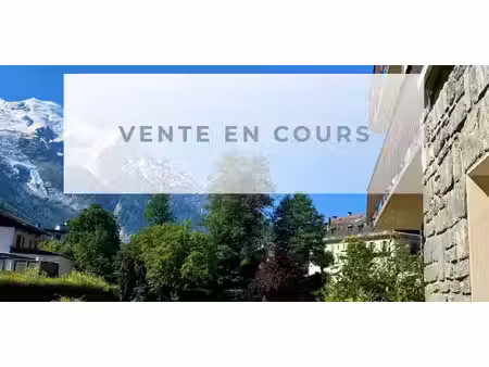 appartement chamonix-mont-blanc (74)