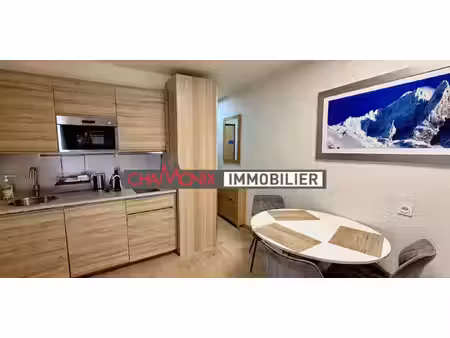 appartement chamonix-mont-blanc (74)