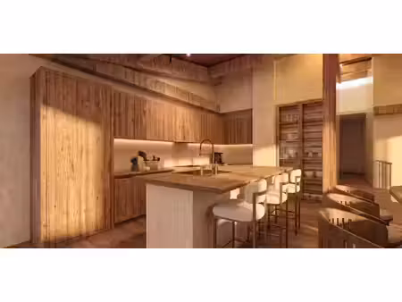 appartement contemporain avec terrasse chatel (74)