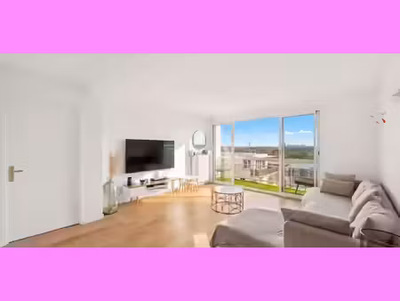 appartement avec terrasse suresnes (92)